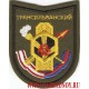 Шеврон Трансильванского учебного центра войск РХБЗ