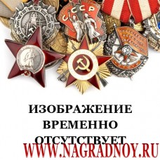 Медаль ФССП России За доблесть