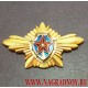 Эмблема Президентского полка на пилотку