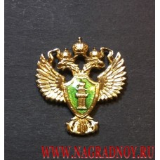 Фрачный значок Эмблема Прокуратуры России