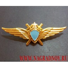 Классность ВВС России летчик