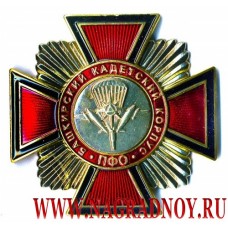 Нагрудный знак Башкирский кадетский корпус ПФО