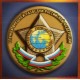Магнит 3D  с эмблемой Службы внешней разведки Российской Федерации