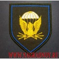 Нарукавный знак военнослужащих 38-го ОПС ВДВ России для полевой формы