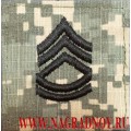 Погон сержанта 1 класса армии США