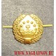Петличная эмблема золотого цвета ВС Таджикистана