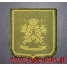 Шеврон 24-й Отдельной бригады спецназа ГРУ Центральный военный округ