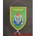 Вымпел с символикой Пограничного управления ФСБ России по Республике Алтай