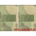 Фальшпогоны из камуфлированной ткани Мох зелёный для старших сержантов
