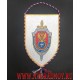 Вымпел с логотипом Военно-медицинского управления ФСБ России