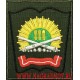 Нарукавный знак курсантов Пензенского артиллерийского инженерного института