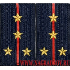 Фальшпогоны МВД нового образца с вышитыми звездочками звание капитан