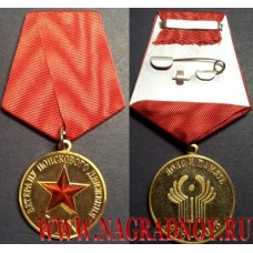 Медаль Ветеран поискового движения СНГ